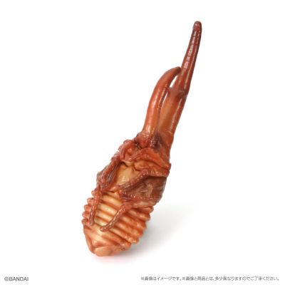 生物大图鉴　甲虫10　树皮台座（小）套装