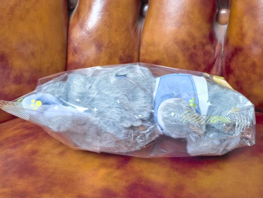 电影 GIVEN:去海边 毛绒绒玩偶 上山立夏