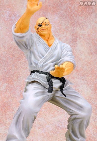 RDF 范马刃牙 追求强大的人 愚地独步（通常版）