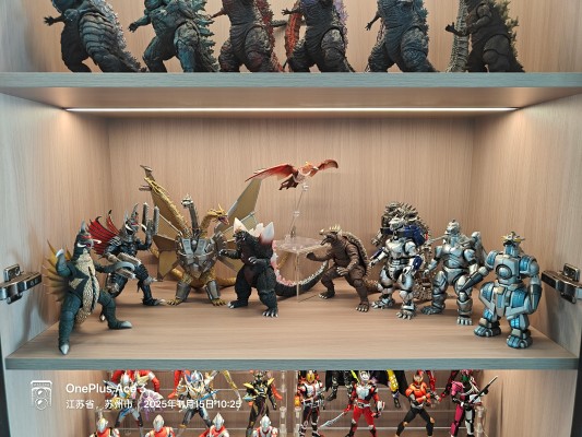 S.H.MonsterArts 雷吉翁