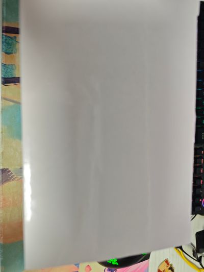 Ravitier 无职转生2～到了异世界就拿出真本事～ 艾莉丝·伯雷亚斯·格雷拉特 ～泳装～