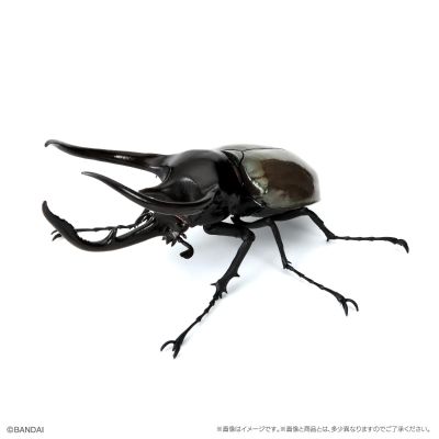 生物大图鉴　甲虫10　树皮台座（小）套装