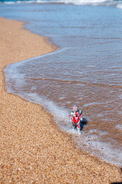 BB戦士 三国伝 动画版 018 真 龍装 劉備(りゅうそう りゅうび) 高达