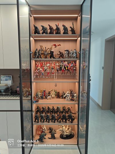 S.H.MonsterArts 雷吉翁