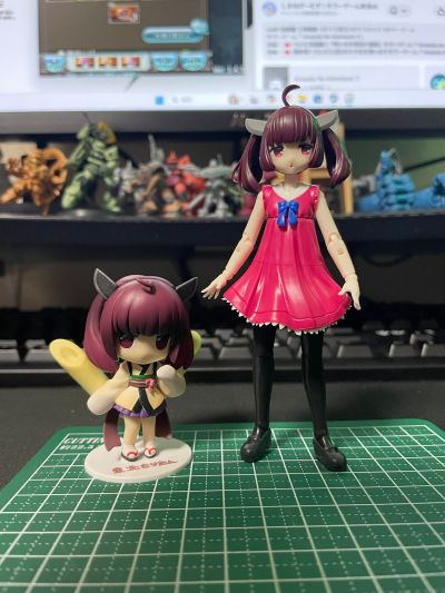 Plafia 东北切蒲英