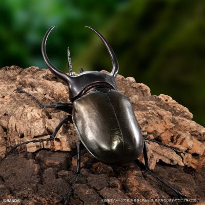 生物大图鉴　甲虫10　树皮台座（小）套装