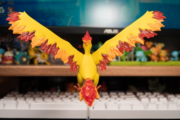 宝可梦比例世界 关都地区 急冻鸟+闪电鸟+火焰鸟