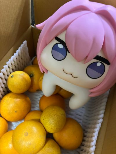 胜利女神：新的希望 DORO