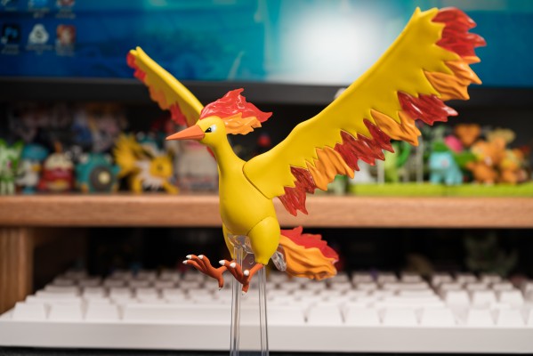 宝可梦比例世界 关都地区 急冻鸟+闪电鸟+火焰鸟