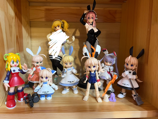 一击杀虫！！小惠惠 LEGACY DG-001LN USA-GEAR