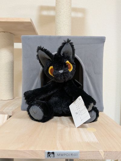 死亡搁浅2 毛绒玩偶 开罗尔生物 (猫)