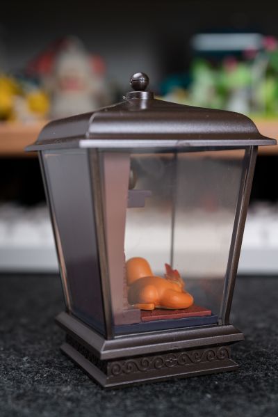 宝可梦 灯笼小景