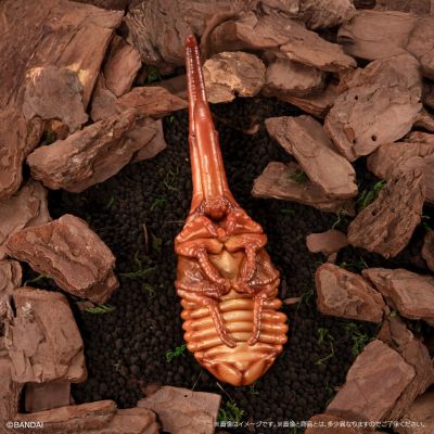 生物大图鉴　甲虫10　树皮台座（小）套装