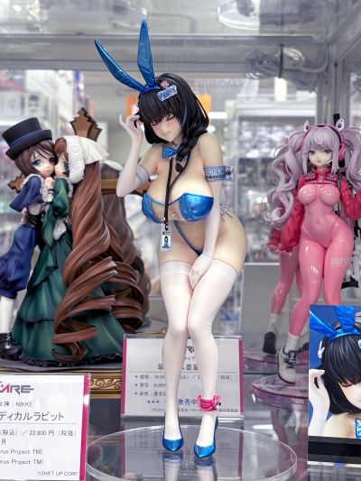 胜利女神：新的希望 梅里：医疗兔