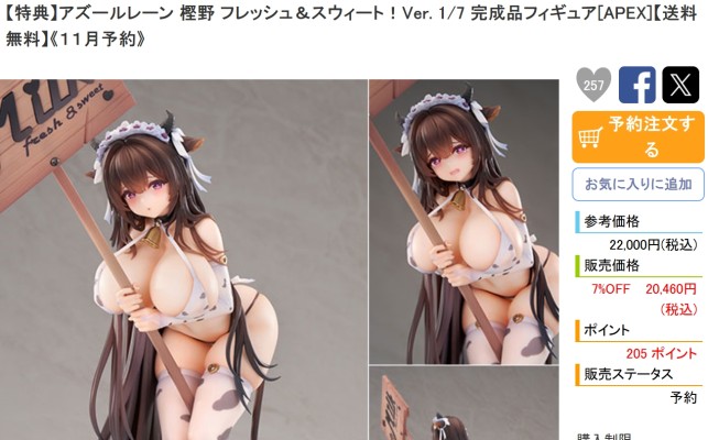 S.K.P 胜利女神：新的希望 普丽瓦蒂:不友善的女仆