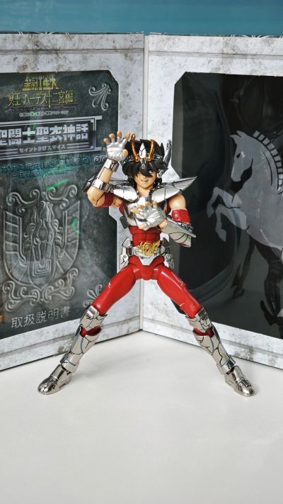 圣斗士圣衣神话  天马座星矢(新生青铜圣衣) 战损版