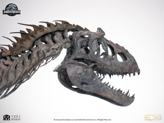 暴虐霸王龙骨架 青铜模型 1/12比例