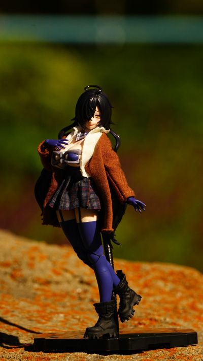 宝可梦模型 快快拼系列！！ 04 伊布