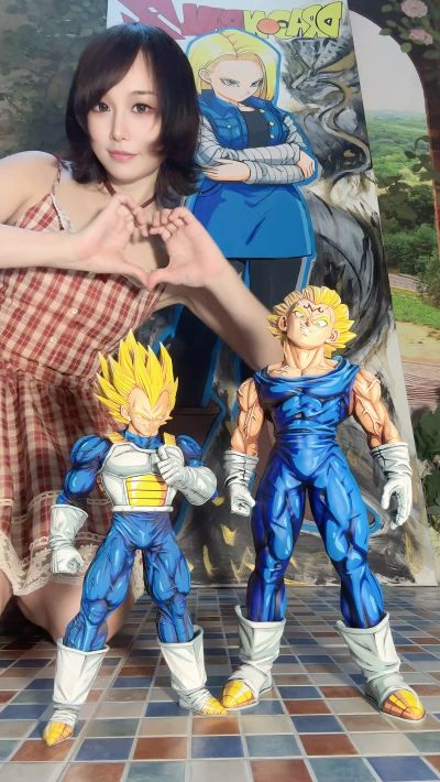 BANPRESTO手办斗兽场 造型天下第一武道大会6 龙珠超 贝吉塔 特别配色ver.