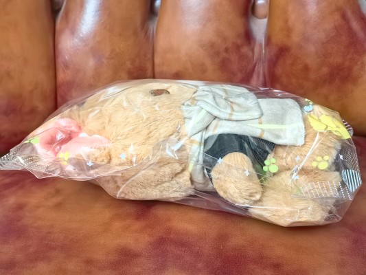 电影 GIVEN:去海边 毛绒绒玩偶 佐藤真冬