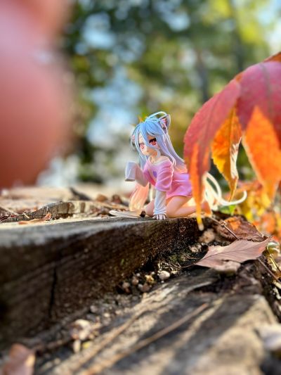 Desktop Cute 游戏人生  白~猫耳T恤~新装版