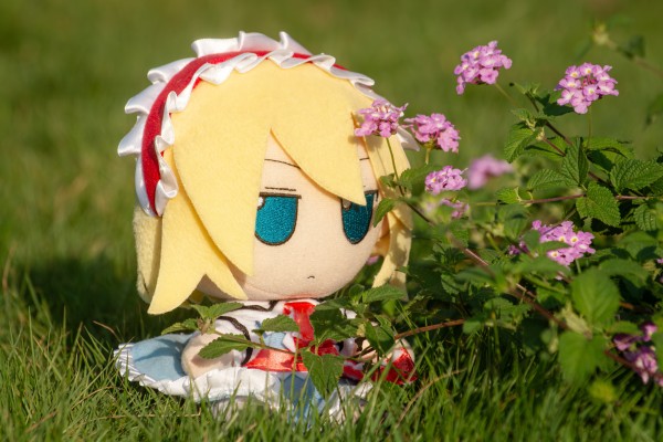 阿尔卡纳蒂亚 露蜜提雅 ReACT-iF