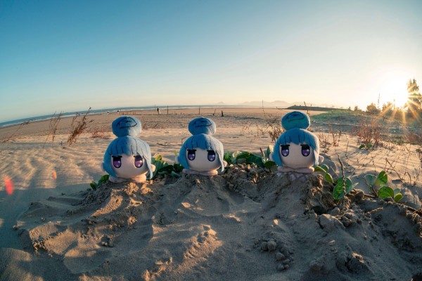 摇曳露营△趴趴 SP毛绒玩偶 “志摩凛”