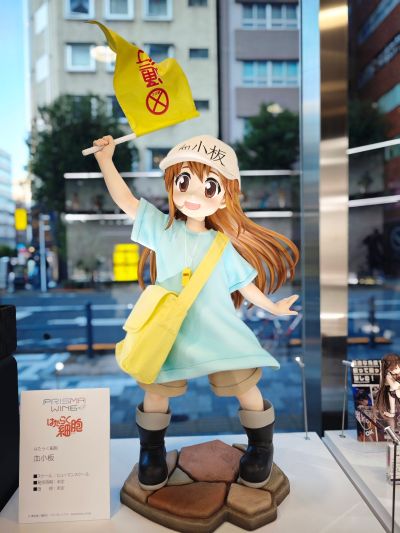 真人比例主线 工作细胞 血小板