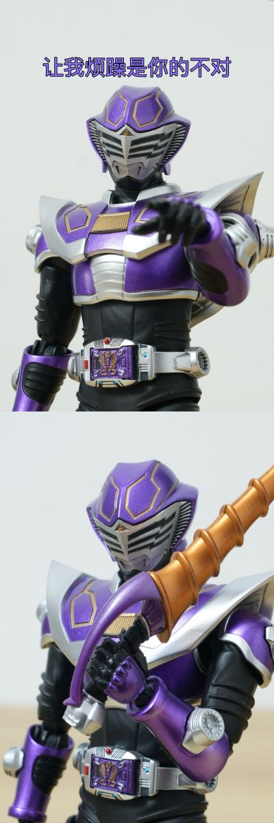 S.H.Figuarts（真骨雕制法） 假面骑士王蛇