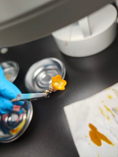 崩坏：星穹铁道 流萤 情人节