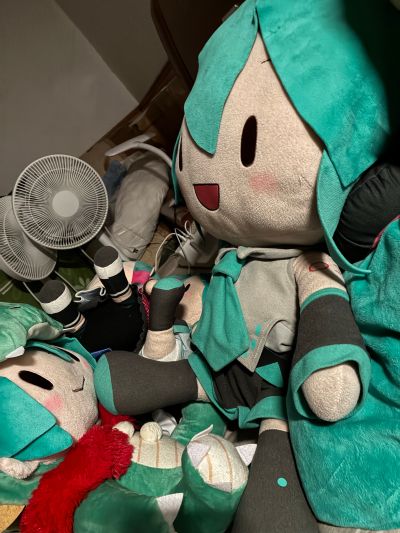 初音未来 龙年2024 Fuwa Petit可爱软绵绵玩偶 LL尺寸