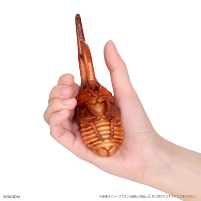 生物大图鉴　甲虫10　树皮台座（小）套装