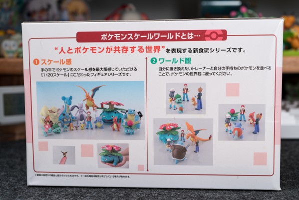 宝可梦比例世界 关都地区