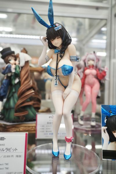 胜利女神：新的希望 梅里：医疗兔