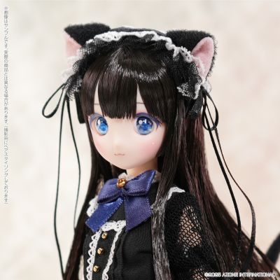 POD048-AGB Colorful Dreamin'/朝比奈幸穂 ～M.K.的礼物～（黑猫）