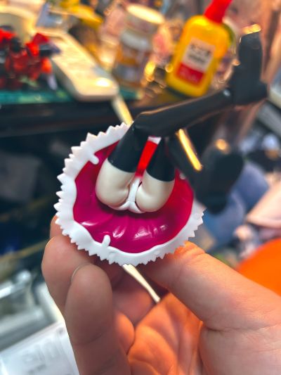 Plafia 东北切蒲英