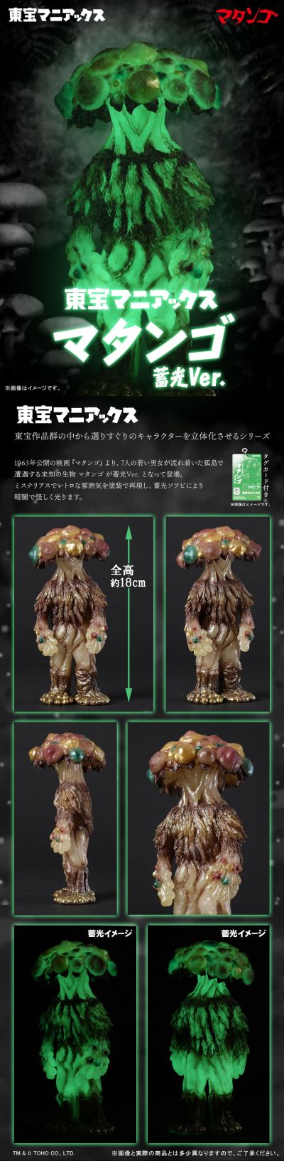 东宝狂热 玛坦戈 蓄光版