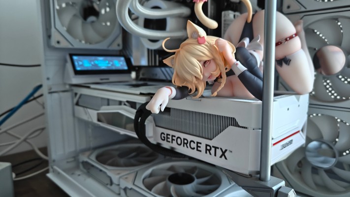 女仆喵姬 猫可可