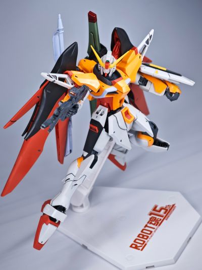 HG 机动战士高达SEED DESTINY 命运高达 (海涅专用机)