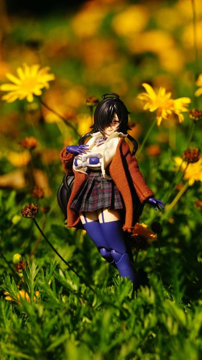 宝可梦模型 快快拼系列！！ 04 伊布