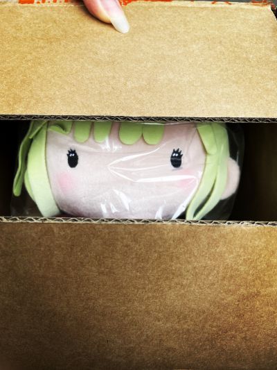 梦想协奏曲！ 一点大尺寸毛绒玩偶 颂乐人偶 墨缇丝娃娃