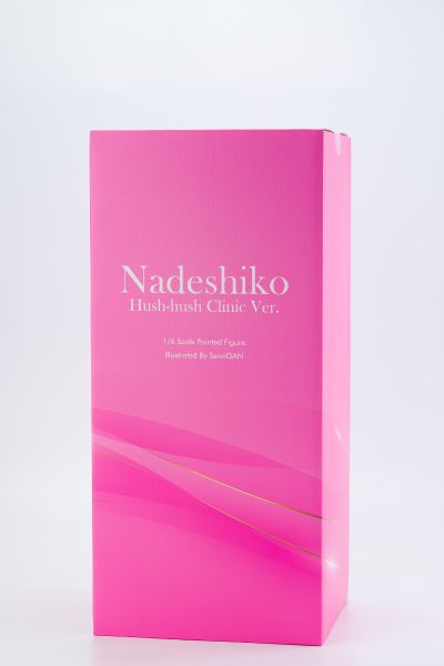 抚子 秘密的诊疗室