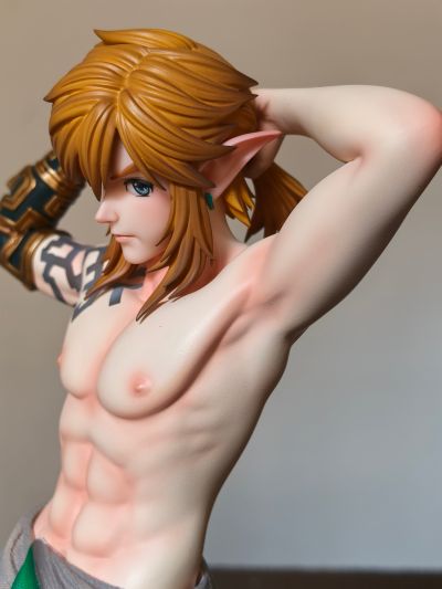 塞尔达传说：旷野之息 林克