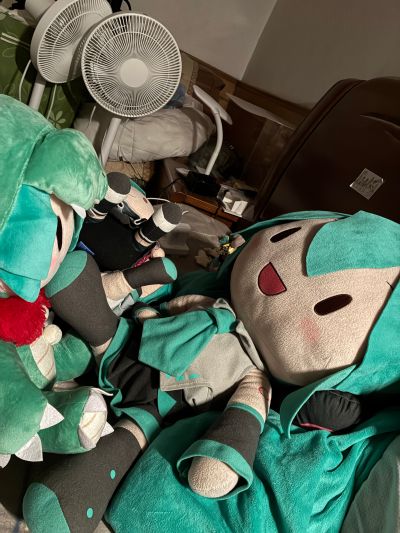 初音未来 龙年2024 Fuwa Petit可爱软绵绵玩偶 LL尺寸