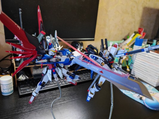 METAL ROBOT魂 ＜机动战士系列＞ 命运高达 [Re:Coordinate]