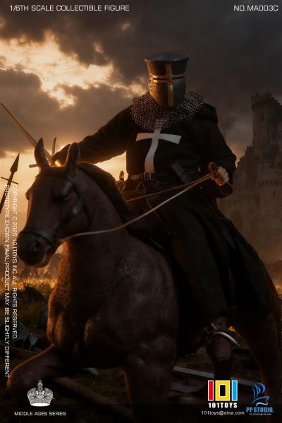 天国王朝 医院骑士