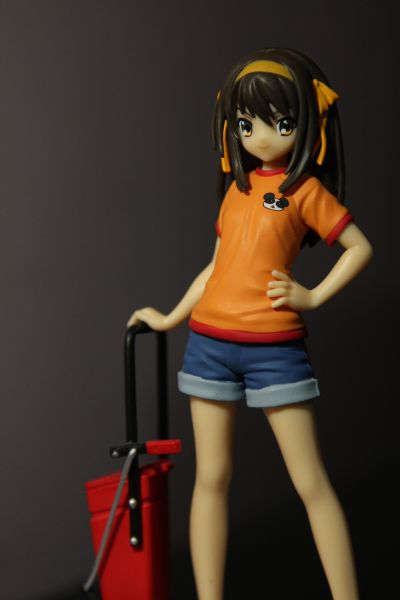 凉宫春日的忧郁 Extra Figure 笹の葉ラプソディ 涼宮ハルヒ（東中） 