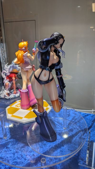 POP 航海王 Evolutionary History  妮可·罗宾