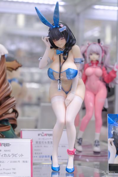 胜利女神：新的希望 梅里：医疗兔