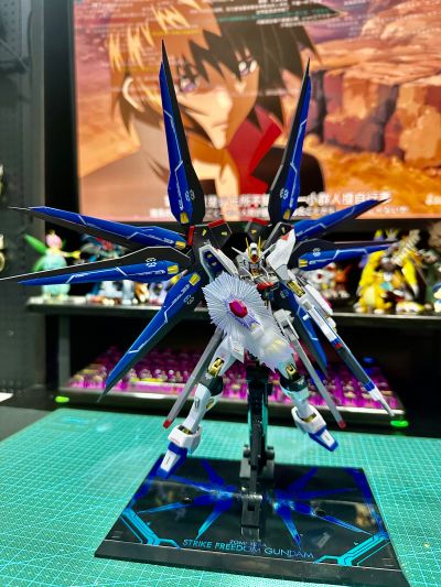 METAL ROBOT魂 ＜机动战士系列＞ 强袭自由高达 [Re:Coordinate]